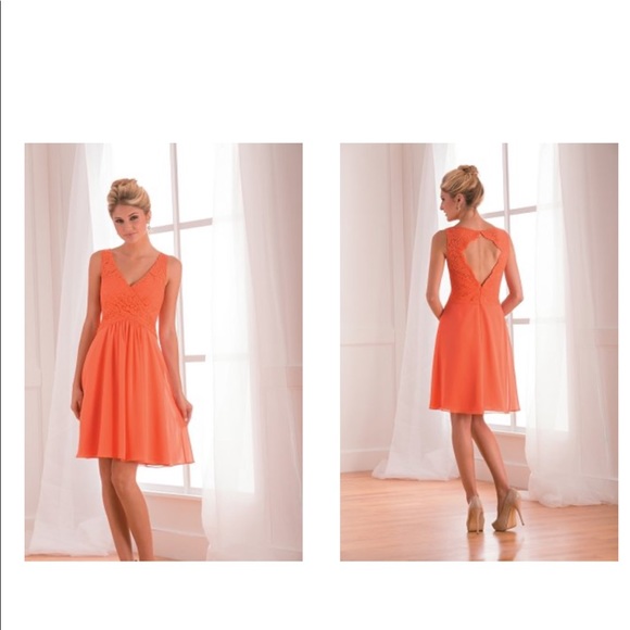 Grapefruit lace and chiffon knee length - Picture 6 of 12